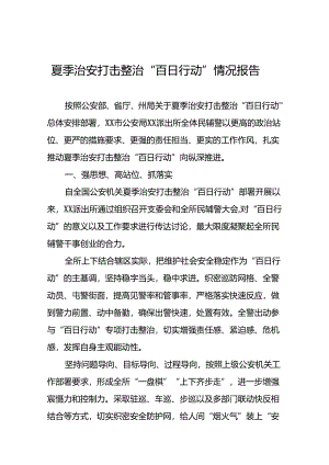 2024年公安夏季治安打击整治行动阶段性情况报告20篇.docx