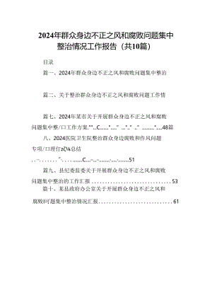 2024年群众身边不正之风和腐败问题集中整治情况工作报告十篇（精选）.docx