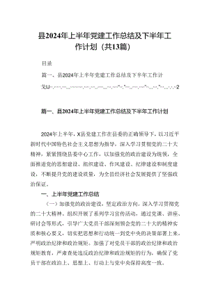 县2024年上半年党建工作总结及下半年工作计划13篇（精选）.docx
