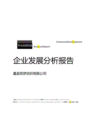 蠡县筑梦纺织有限公司介绍企业发展分析报告模板.docx