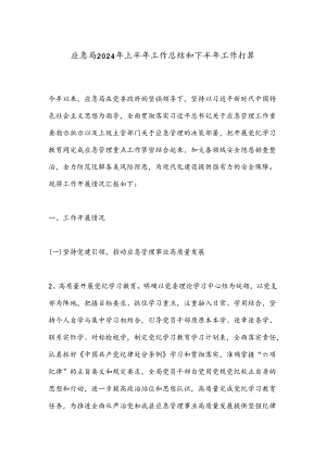 应急局2024年上半年工作总结和下半年工作打算.docx