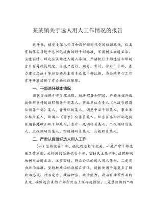 某某镇关于选人用人工作情况的报告.docx