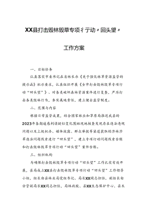 XX县打击毁林毁草专项行动“回头望”工作方案.docx