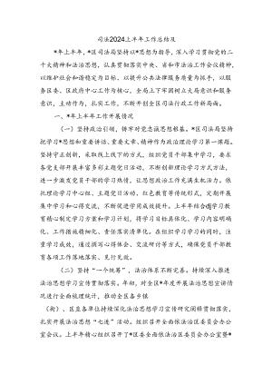 司法2024上半年工作总结及.docx