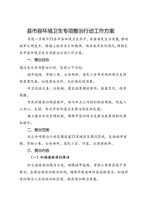 县市容环境卫生专项整治行动工作方案.docx