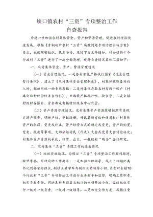 峡口镇农村“三资”专项整治工作自查报告.docx