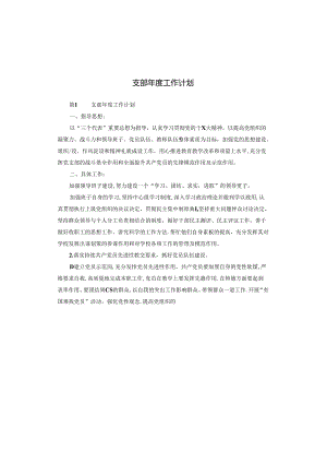 支部年度工作计划.docx
