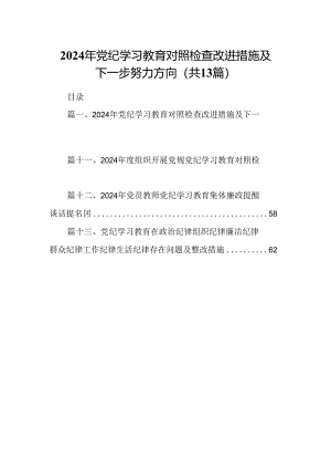 2024年党纪学习教育对照检查改进措施及下一步努力方向13篇（精选）.docx