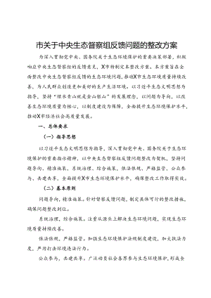 市关于中央生态督察组反馈问题的整改方案.docx