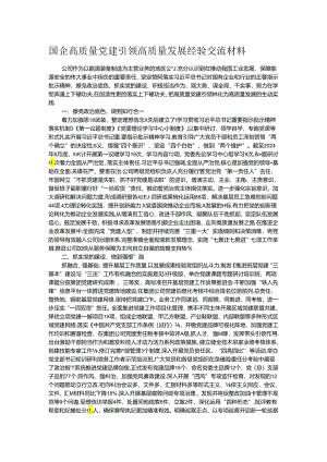 国企高质量党建引领高质量发展经验交流材料.docx