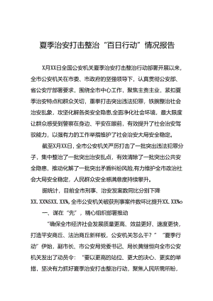 二十三篇2024年公安开展夏季治安打击整治行动工作汇报.docx