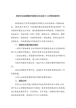 （10篇）党组书记巡察整改专题民主生活会个人对照检查材料参考范文.docx