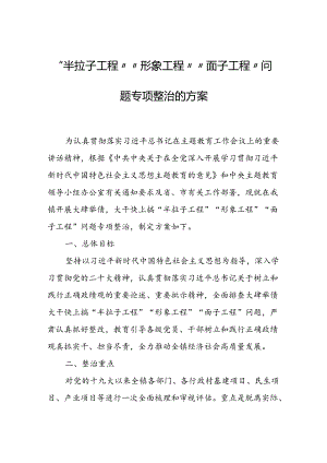 “半拉子工程”“形象工程”“面子工程”问题专项整治的方案.docx