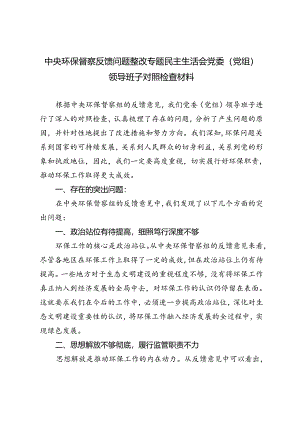2024年中央环保督察反馈问题整改专题民主生活会党委（党组）领导班子对照检查材料.docx