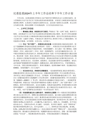 纪委监委2024年上半年工作总结和下半年工作计划.docx