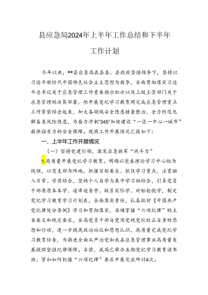 县应急局2024年上半年工作总结和下半年工作计划.docx