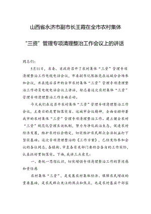 在全市农村集体“三资”管理专项清理整治工作会议上的讲话.docx