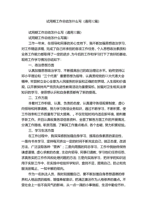 试用期工作总结怎什么写（通用32篇）.docx