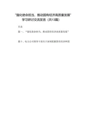 “强化使命担当推动国有经济高质量发展”学习研讨交流发言范文13篇供参考.docx