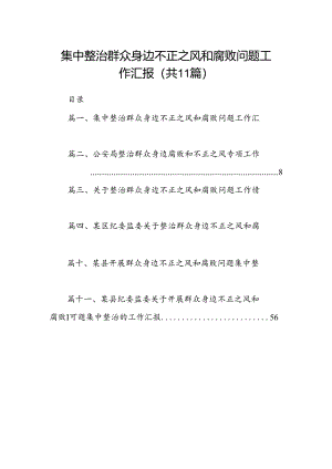 （11篇）集中整治群众身边不正之风和腐败问题工作汇报（精选）.docx