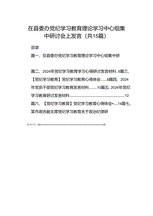 在县委办党纪学习教育理论学习中心组集中研讨会上发言15篇（精选版）.docx