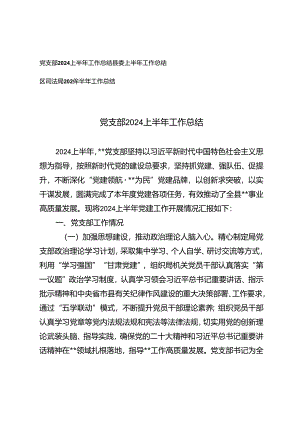 党支部2024上半年工作总结、县委上半年工作总结、区司法局2024年半年工作总结.docx