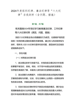 2024年度组织纪律、廉洁纪律等“六大纪律”自我剖析（含问题、措施）.docx