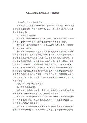 民主生活会整改方案范文(精选5篇).docx