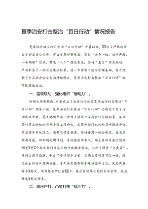 2024年公安夏季治安打击整治“百日行动”阶段性总结报告十四篇.docx