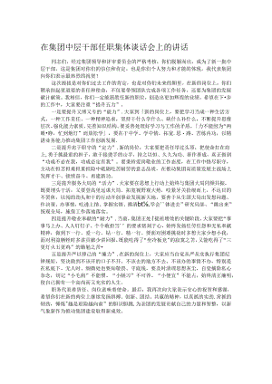 在集团中层干部任职集体谈话会上的讲话.docx