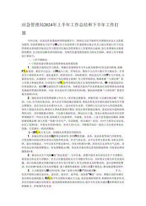 应急管理局2024年上半年工作总结和下半年工作打算.docx