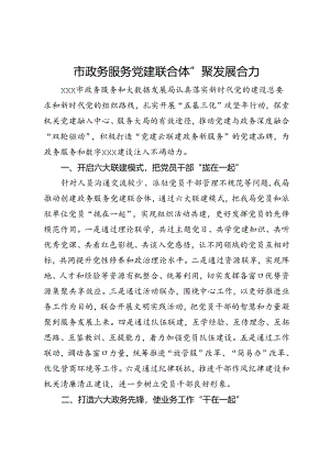 市政务服务和大数据局党建联合体工作做法.docx