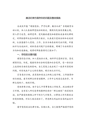 (11篇)廉洁纪律方面存在的问题及整改措施范文精选.docx