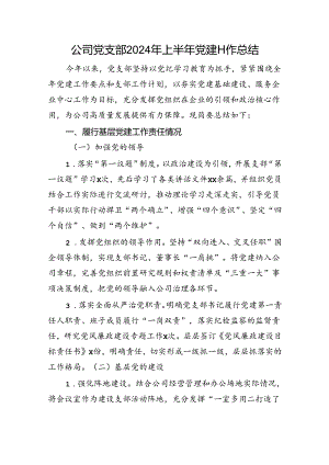 公司党支部2024年上半年党建工作总结.docx