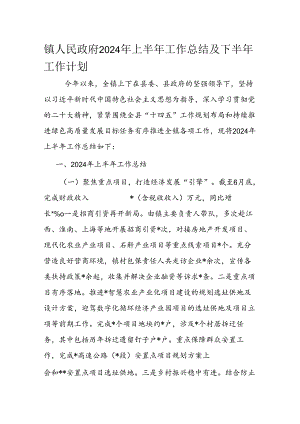 镇人民政府2024年上半年工作总结及下半年工作计划.docx