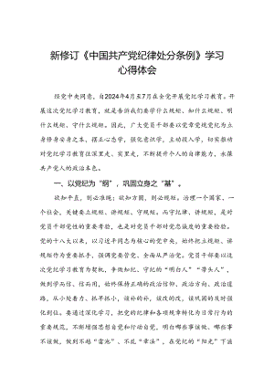 2024版新修订中国共产党纪律处分条例读书班研讨发言十篇.docx