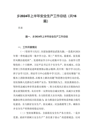 乡2024年上半年安全生产工作总结（共16篇）.docx