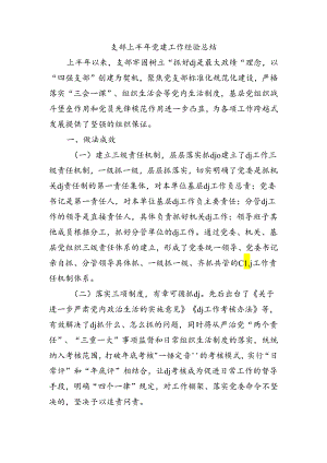 支部上半年党建工作经验总结.docx