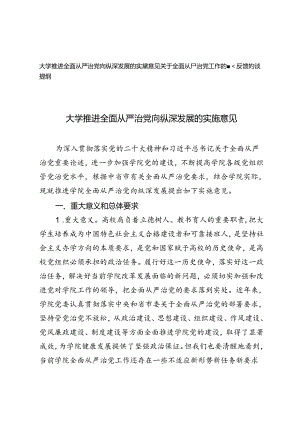 2024年大学推进全面从严治党向纵深发展的实施意见+全面从严治党工作的督查反馈约谈提纲.docx