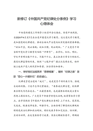 2024版新修订中国共产党纪律处分条例研讨交流发言十篇.docx