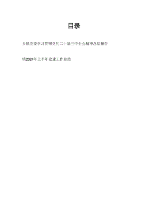 乡镇党委学习贯彻党的二十届三中全会精神总结报告和镇2024年上半年党建工作总结.docx