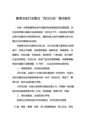 2024年公安推进夏季治安打击整治行动情况报告(24篇).docx