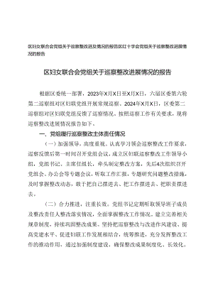 2篇 区妇女联合会、区红十字会党组关于巡察整改进展情况的报告.docx
