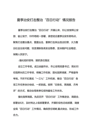 公安2024年全力推进夏季治安打击整治“百日行动”情况汇报(24篇).docx