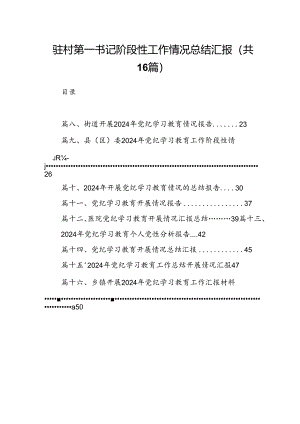 驻村第一书记阶段性工作情况总结汇报16篇（精选）.docx