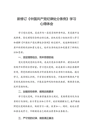 党员2024新修订中国共产党纪律处分条例的心得体会十篇.docx