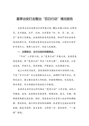 2024年公安夏季治安打击整治行动情况汇报十四篇.docx
