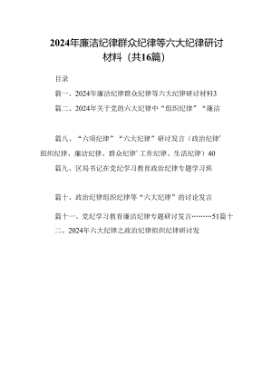 2024年廉洁纪律群众纪律等六大纪律研讨材料16篇（精选）.docx
