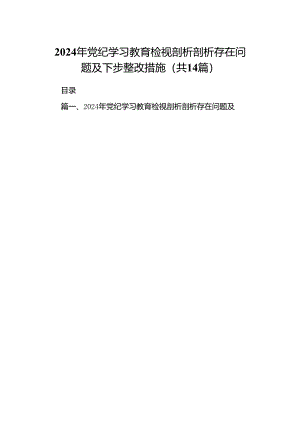 2024年党纪学习教育检视剖析剖析存在问题及下步整改措施14篇（最新版）.docx