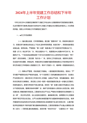 2024年上半年党建工作总结和下半年工作计划.docx